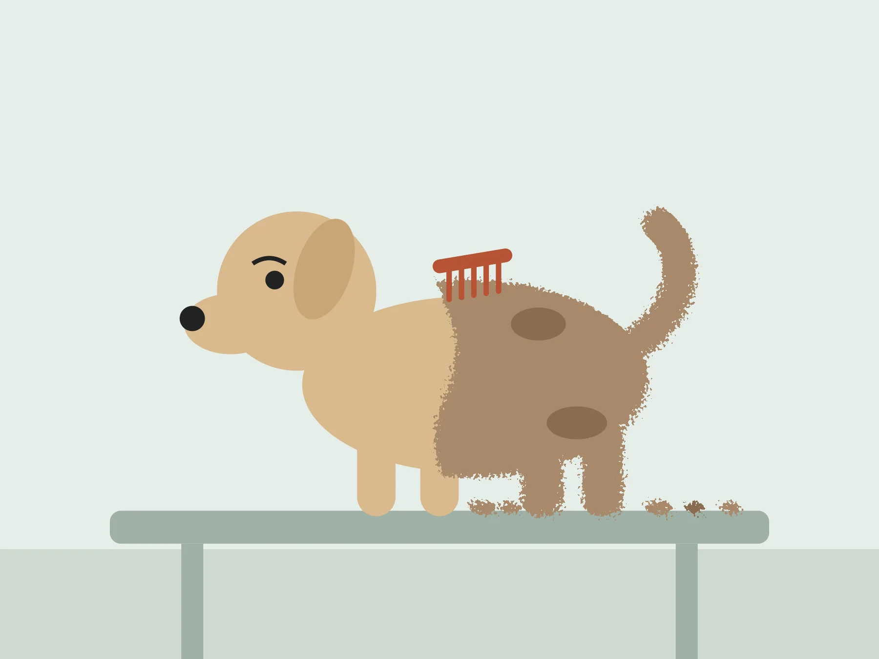 Illustration of the dog mid-groom: head and front trimmed smooth, back and tail still matted